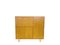 Vintage CB01 Cabinet by Cees Braakman for Pastoe, 1950s 1