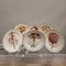 Gien Porcelain Plates by Pierre Frey, Set of 6 1