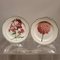 Gien Porcelain Plates by Pierre Frey, Set of 6 4