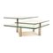 Draenert Imperial Glass Coffee Table in Silver 1