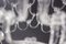 Kronleuchter aus Murano im Stil von Angelo Mangiarotti, 1940er 11