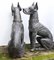 Statue da giardino in bronzo di Boxer Dogs, set di 2, Immagine 7