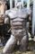 Artista italiano, torso nudo maschile intagliato, pietra, Immagine 1