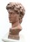 Buste de David en Fonte dans le style de Michelangelo Garden Art, 1890s 5