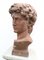 Cast Iron David Bust in the style of Michelangelo Garden Art, 1890s, Image 5