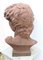 Cast Iron David Bust in the style of Michelangelo Garden Art, 1890s, Image 7