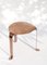 Beetle Stool 550 by Daan De Wit 2