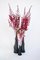 Vases en Acrylique Anthracite par Daan De Wit, Set de 3 2