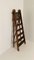 Antique Library Ladder 16