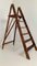 Antique Library Ladder 15