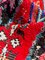 Tappeto Boucherouite in cotone berbero rosso, anni '80, Immagine 9