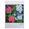Andy Warhol, Flowers, Litografia, anni '80, Immagine 1