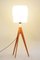 Mid-Century Floor Lamp in Oak & Milk Glass attributed to Úluv, 1950s 4