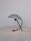 Lampe de Bureau Nb100 Mid-Century par Louis Kalff pour Philips, 1950s 5