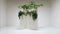 Soportes para plantas iluminados de Paul Jansen, años 70. Juego de 5, Imagen 4