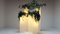 Illuminated Plant Stands by Paul Jansen, 1970s, Set of 5 1
