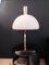 Italian AS1C Table Lamp by Franco Albini and Franca Helg for Sirrah, 1960s 4