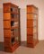 Antique Modular Bookcase in Oak from Wernicke Globe, Set of 2 9