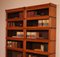 Antique Modular Bookcase in Oak from Wernicke Globe, Set of 2 11