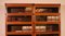 Antique Modular Bookcase in Oak from Wernicke Globe, Set of 2 6