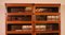 Libreria antica modulare in quercia di Wernicke Globe, set di 2, Immagine 6