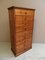 Industrial Filing Cabinet with Drawers, 1950s, Image 2