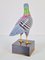 Italian Hand Painted Porcelain Pigeon by Giulia Mangani, 1970s, Image 15