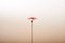 Floor Lamp in Black Metal Base, Gray Painted Tubular Steel Frame, Red Painted Metal Shade, Frosted Glass Diffuser, Image 3