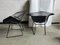 Vintage All Black Diamond Wire 421 Chairs by Harry Bertoia for Knoll International, Set of 2 2
