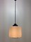 Lámpara colgante Mid-Century de Stilnovo, Italia, años 50, Imagen 3