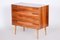Mid-Century Original Chest of Drawers in Walnut, Czech, 1960s, Image 1