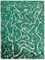 Large Green Overdyed Area Rug 3