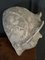 Sculpture Antique en Plâtre d'un Visage Féminin, Début du 20ème Siècle 9