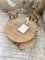 Circular Elm Coffee Table and Stools, 1950s, Set of 5, Image 5