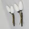 French Sconces, 1950s, Set of 2, Image 5