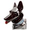 Estatua de perro pastor vintage de porcelana de Spana, años 50, Imagen 2