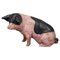 Swabian Hallic Country Pig in Terracotta, 1930s, Image 1