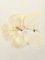 Camellia Motif Brooch in White from Chanel, Image 2