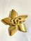 Broche con forma de flor y estrella vintage en tono dorado de Chanel, Imagen 1