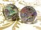 Chanel Vintage Silver Tone And Rainbow Aurora Shining Earrings With Charms, Set of 2 1