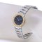 Yellow Gold and Stainless Steel Womens Watch from Bvlgari 2