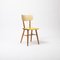 Dining Chairs from Ton, Former Czechoslovakia, 1960s, Set of 6, Image 4