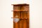 Modernist Wall Shelf or Bookcase, Former Czechoslovakia, 1930s 9