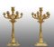 French Napoleon III Style Candelabra Pair in Gilded Bronze, Early 20th Century, Set of 2 1