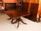 19th Century Regency Triple Pillar Dining Table and Chairs, 1830s, Set of 13 10