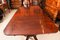 19th Century Regency Triple Pillar Dining Table and Chairs, 1830s, Set of 13 5