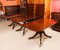 19th Century Regency Triple Pillar Dining Table and Chairs, 1830s, Set of 13 9
