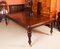 William IV Mahogany Dining Table and Balloon Back Dining Chairs, 1835, Set of 11 11