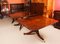19th Century Regency Revival Triple Pillar Dining Table & Chairs, Set of 15 6