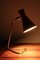 Vintage Desk Lamp with Directional Shade, Image 2